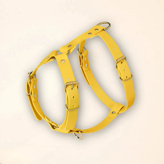 Harnais pour chien - Jaune