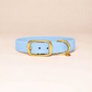 Collier pour chien - Bleu Glacial
