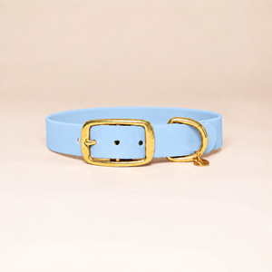 Collier pour chien - Bleu Glacial