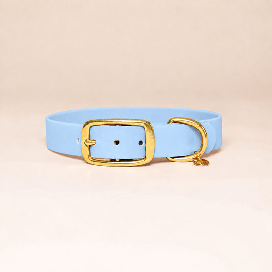Collier pour chien - Bleu Glacial