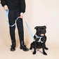 Laisse pour chien - Bleu Glacial