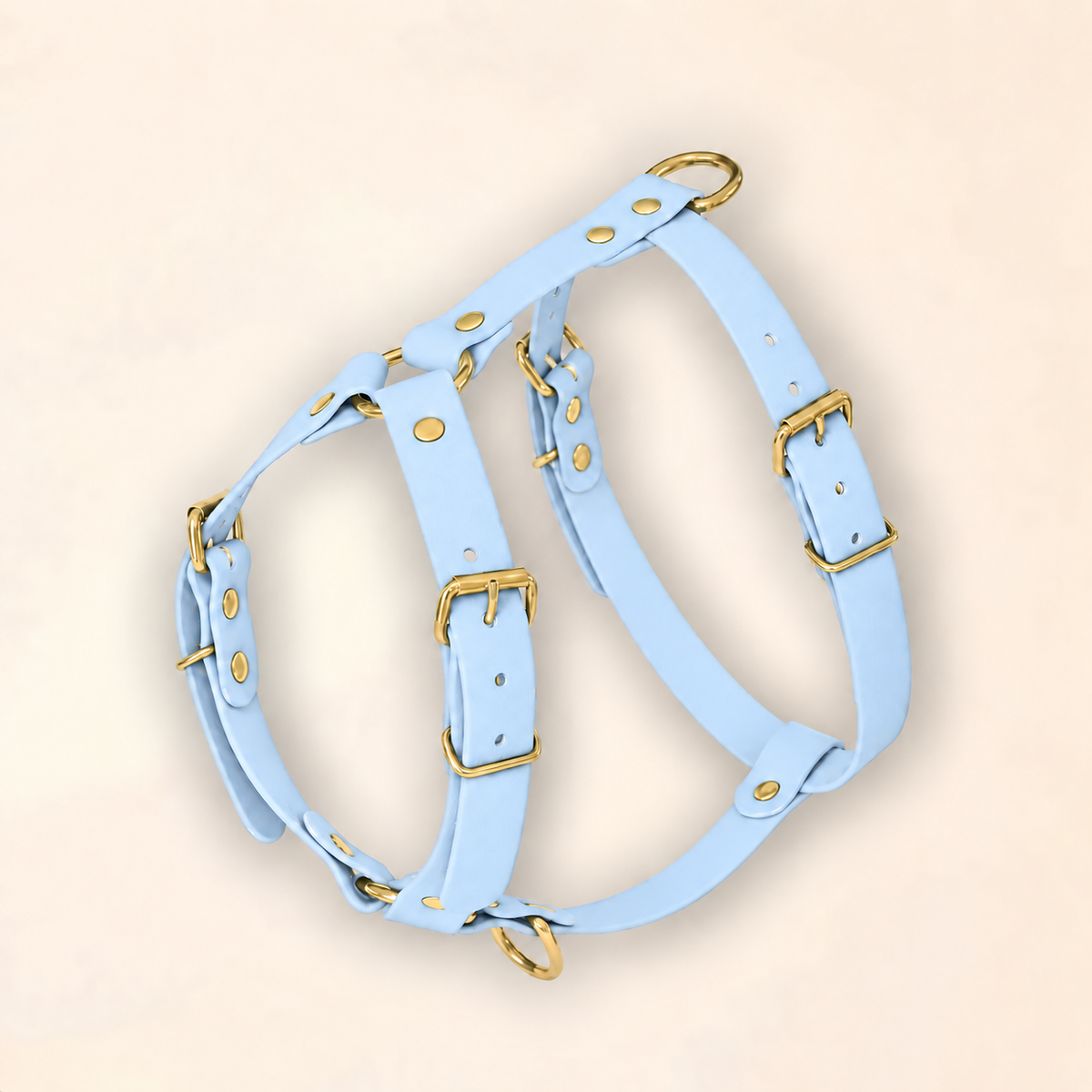 Harnais pour chien - Bleu Glacial