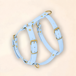 Harnais pour chien - Bleu Glacial