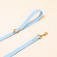 Laisse pour chien - Bleu Glacial