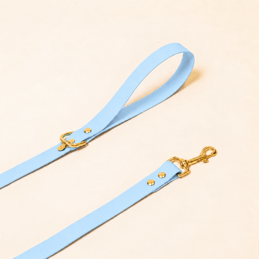 Laisse pour chien - Bleu Glacial
