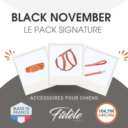 Pack “Signature” – Collier, Laisse & Harnais