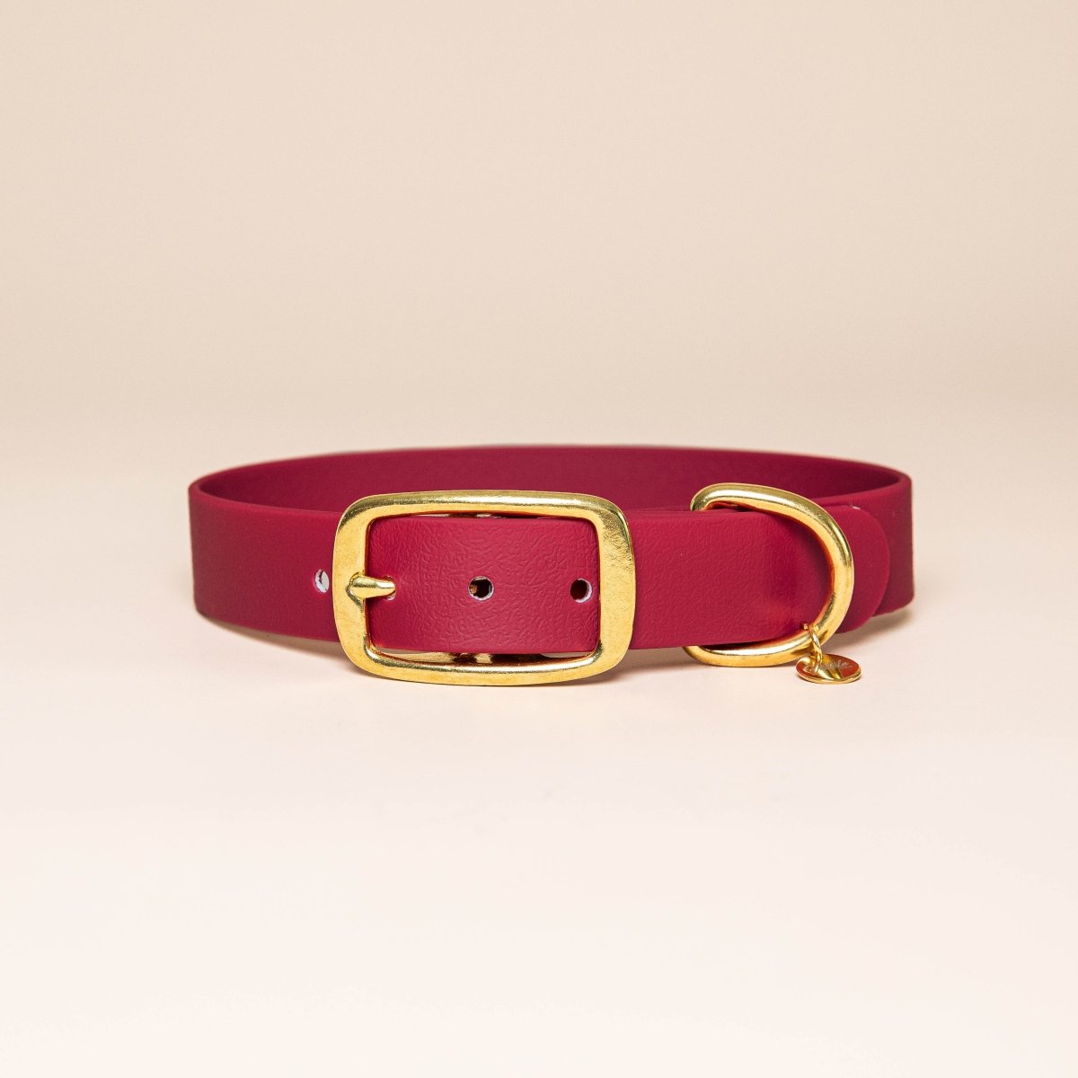 Collier L'Aventurier