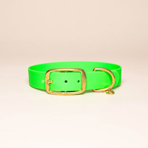 Collier pour chien - Vert fluo