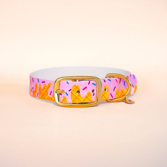 Collier pour chien "Ice cream" - Summer édition - Fidèle Paris