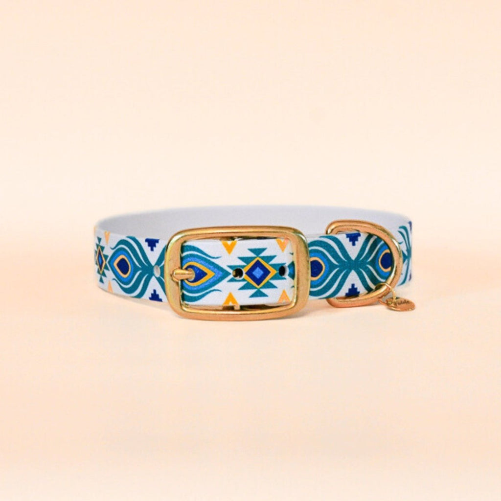 Collier pour chien "Tulum" - Summer édition - Fidèle Paris