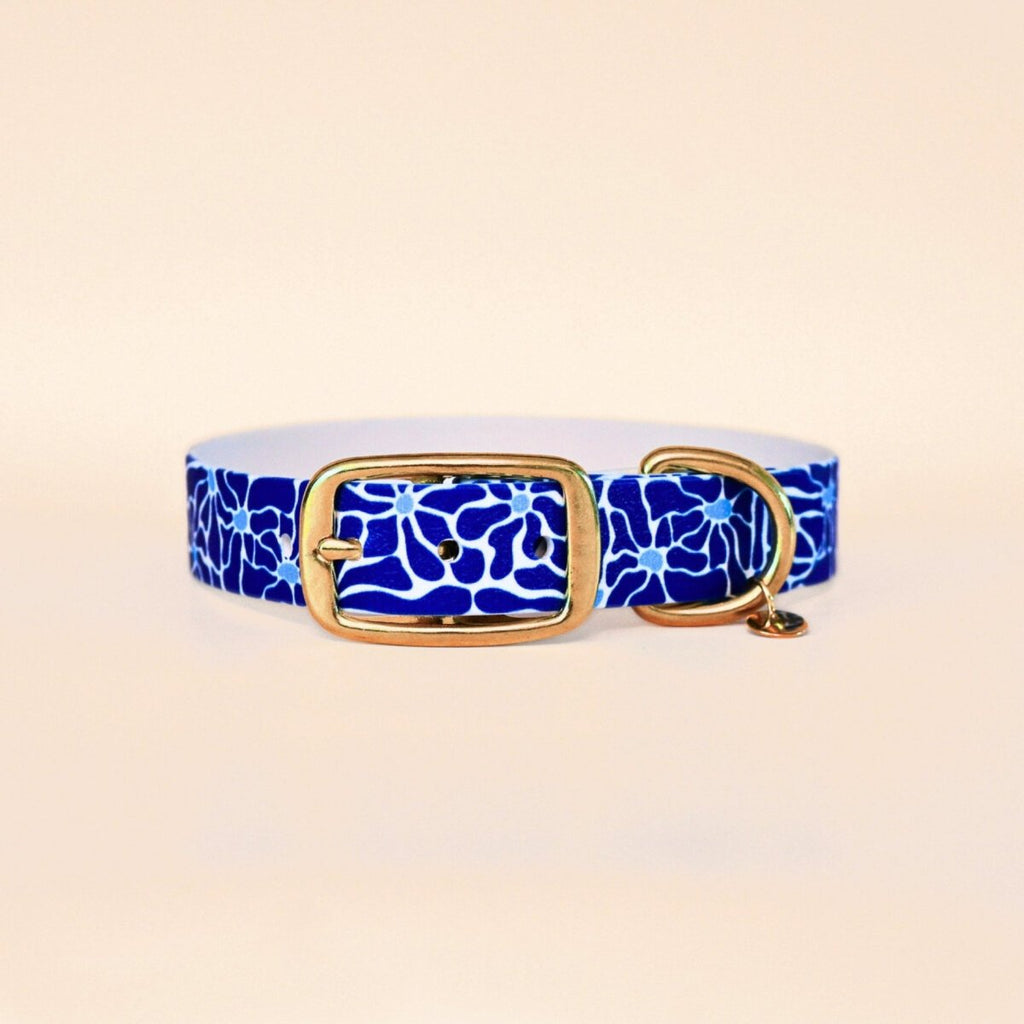 Collier pour chien "Zéphir" - Summer édition - Fidèle Paris