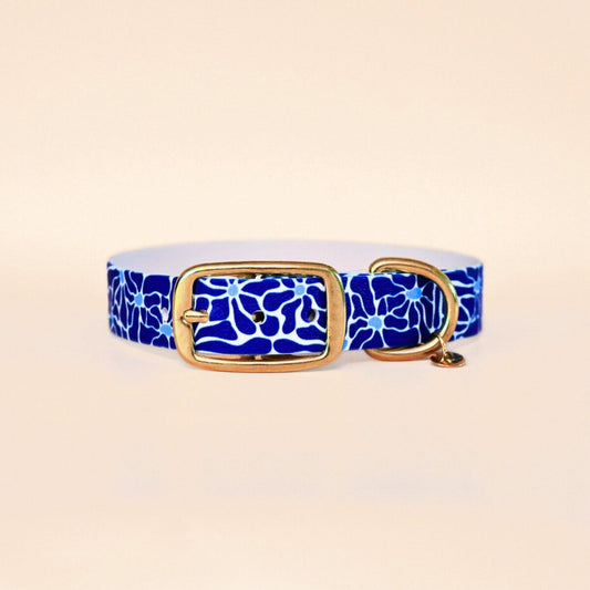 Collier pour chien "Zéphir" - Summer édition - Fidèle Paris