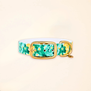Collier pour chien "The Bloom édition" - Vert