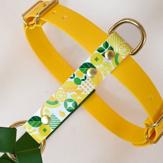 Harnais pour chien - "Lemon" - Summer édition - Fidèle Paris