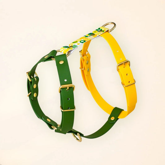 Harnais pour chien - "Lemon" - Summer édition - Fidèle Paris