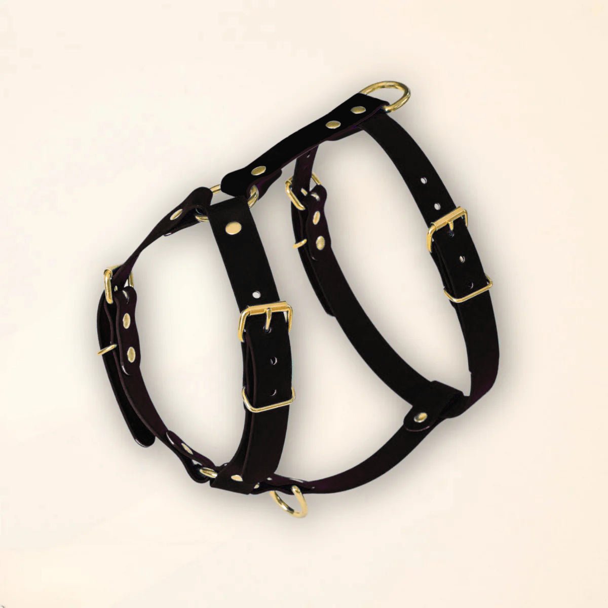 Harnais pour chien - Noir - Fidèle Paris