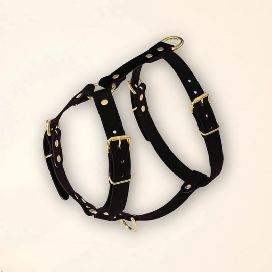 Harnais pour chien - Noir - Fidèle Paris