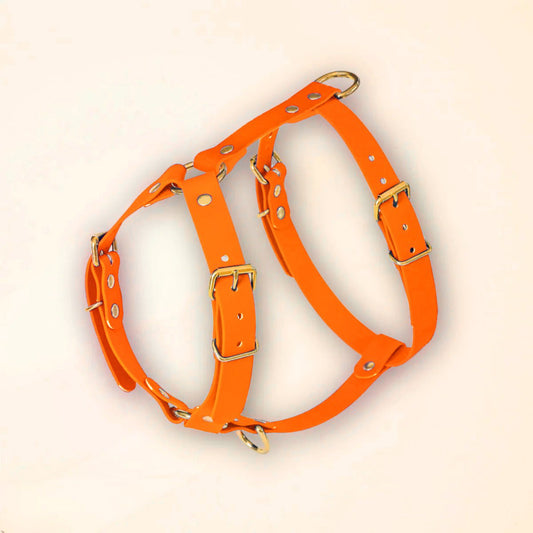 Harnais pour chien - Orange fluo - Fidèle Paris