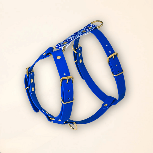 Harnais pour chien - "Zéphyr" - Summer édition - Fidèle Paris