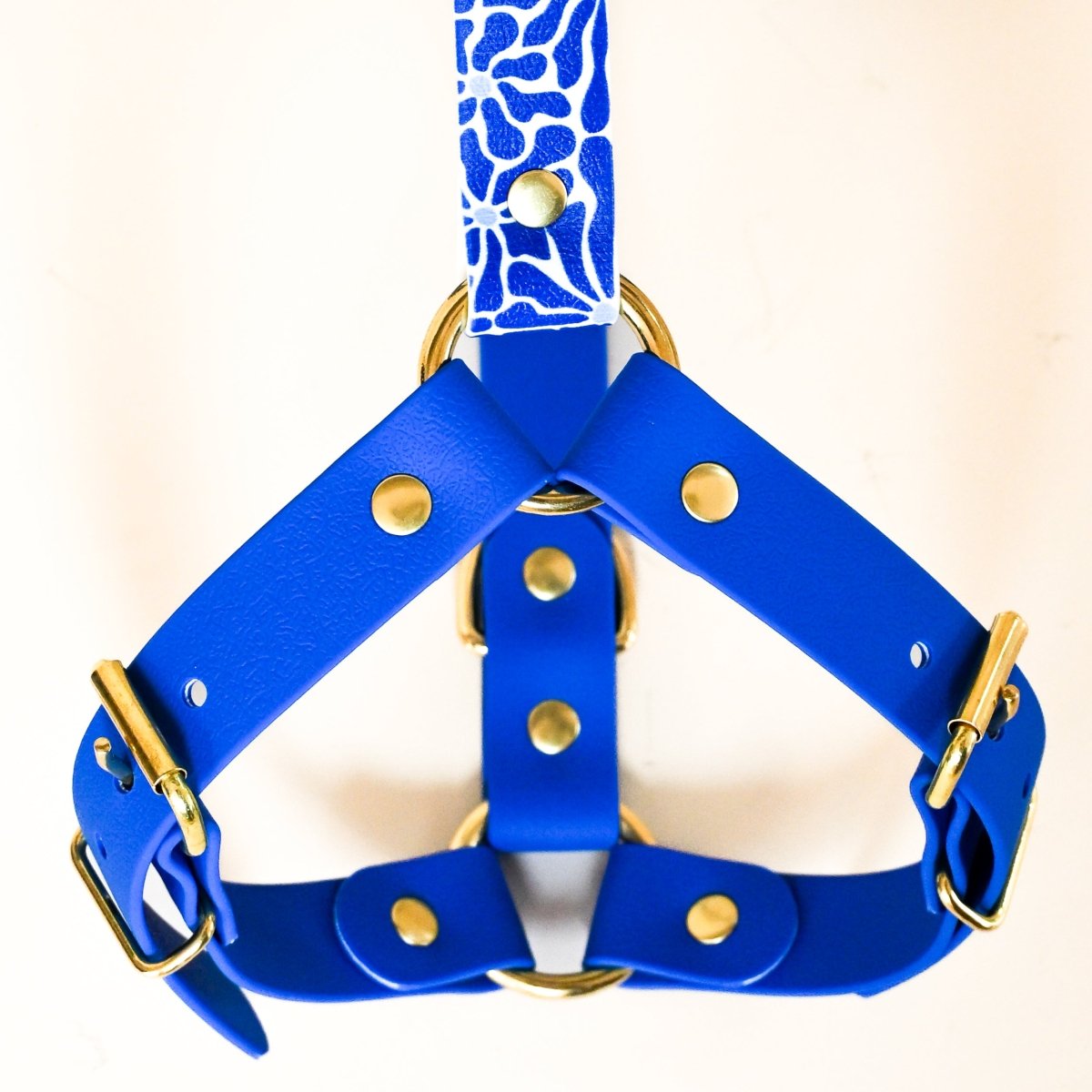 Harnais pour chien - "Zéphyr" - Summer édition - Fidèle Paris