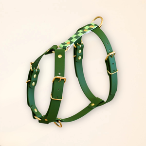 Harnais pour chien - Damier vert