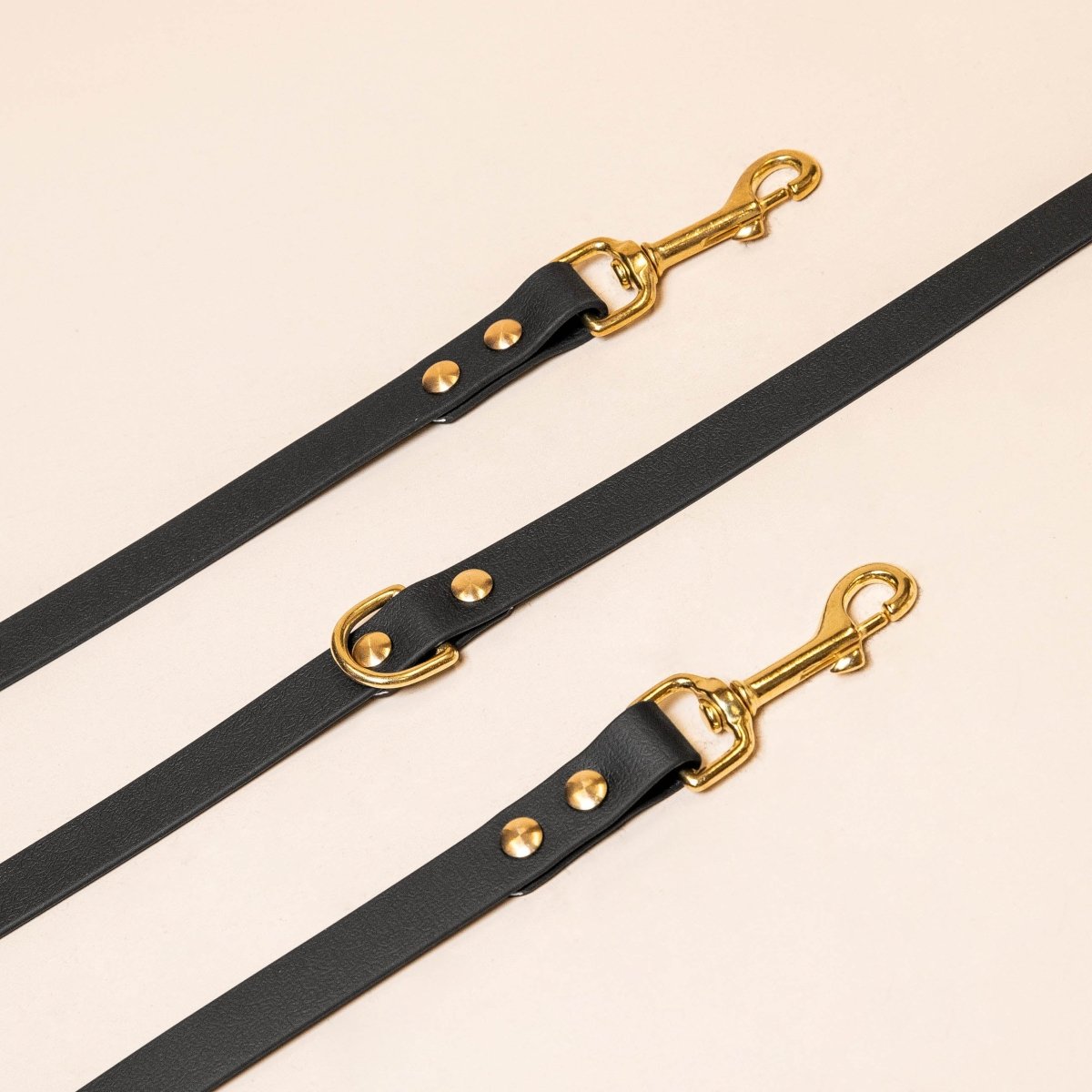 Multi-position leashes