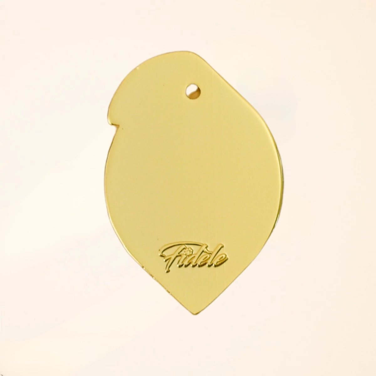 Médaille pour chien - LEMON - Fidèle Paris