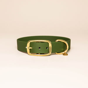 Collier pour chien - Vert olive