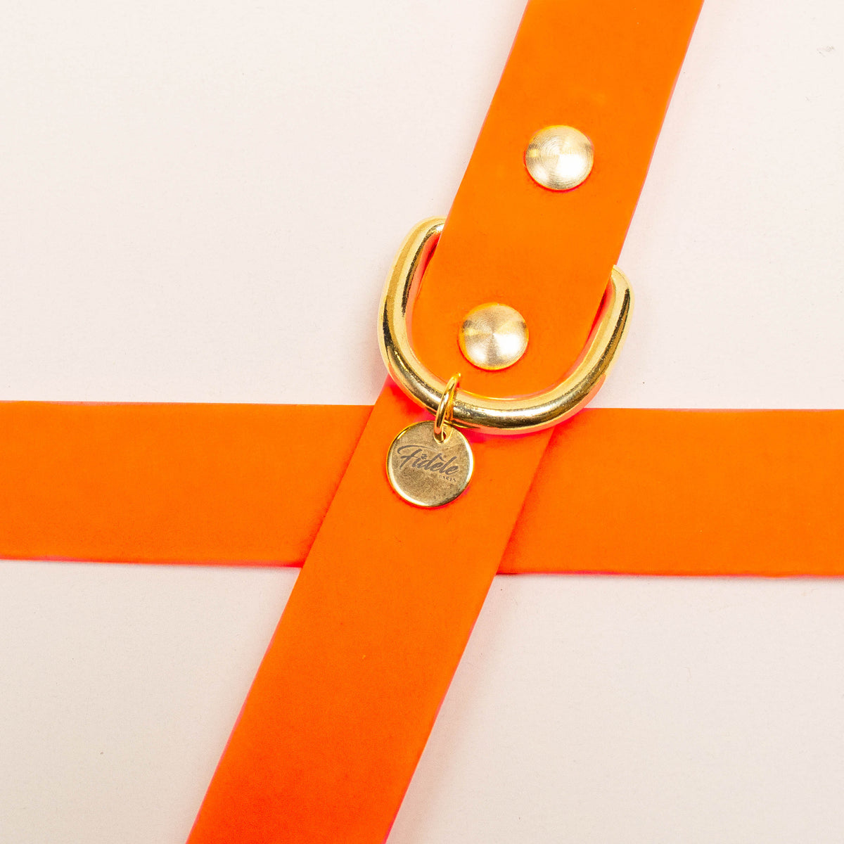 Collier pour chien - Orange fluo